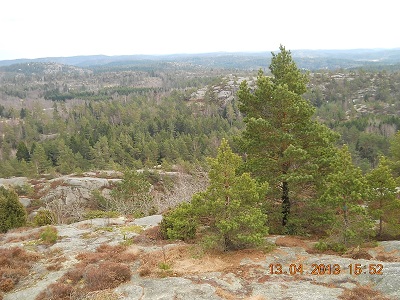 Natur in Schweden
